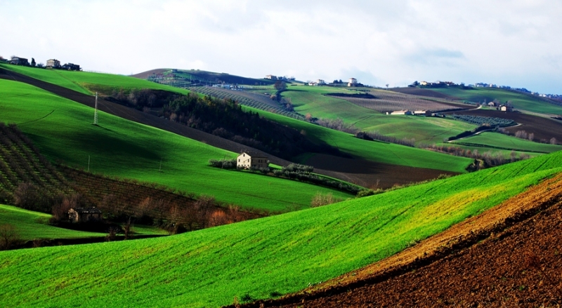 Clicca per l'immagine full size