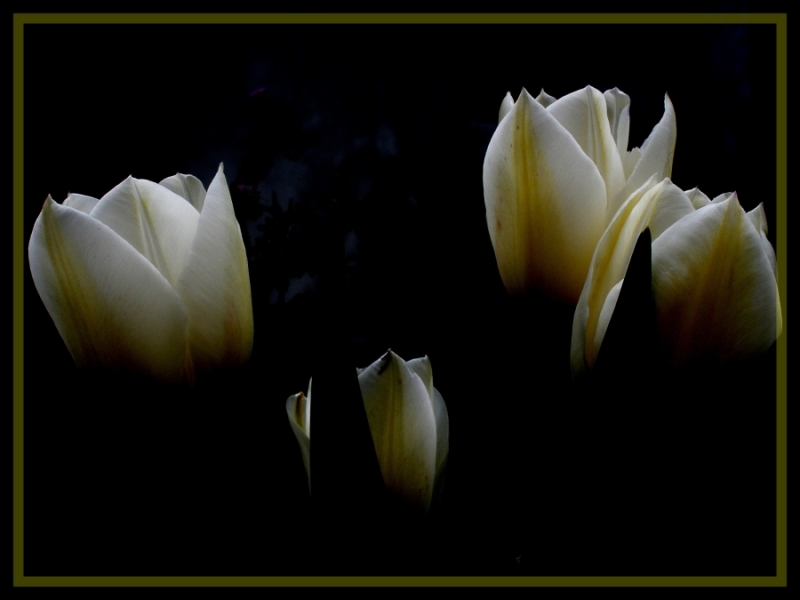 Clicca per l'immagine full size