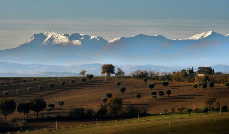 Clicca per l'immagine full size