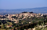 micromosso14.jpg micromosso14.jpg
