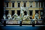 micromosso38.jpg micromosso38.jpg