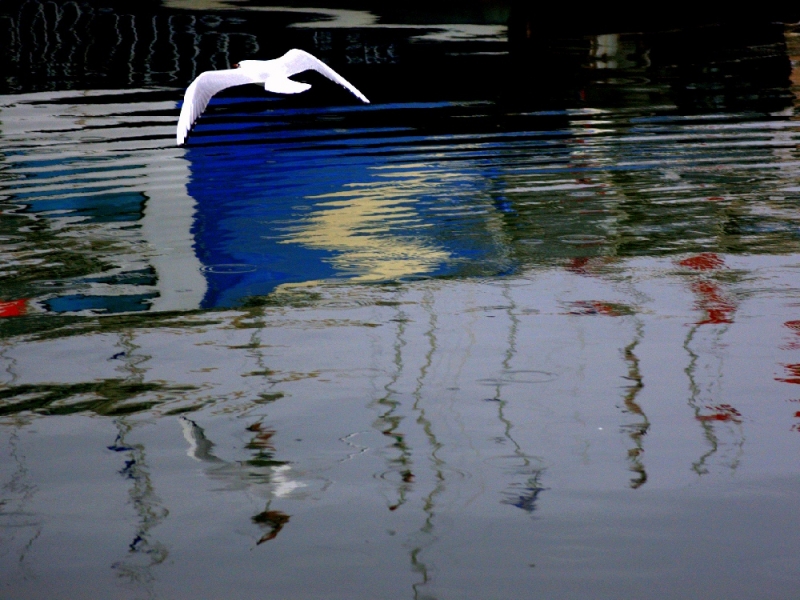 Clicca per l'immagine full size