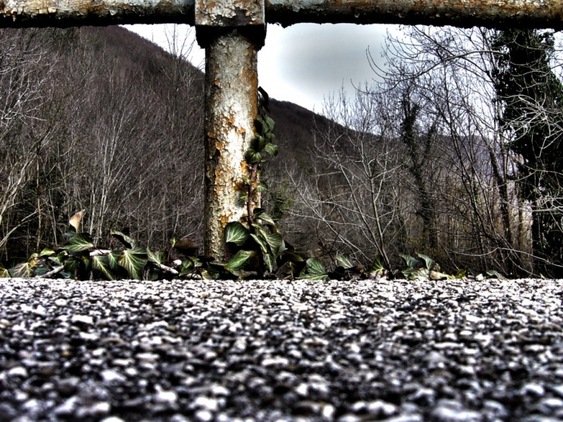Clicca per l'immagine full size