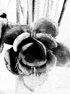 Nome File=essenzial_2_(900_x_1200).jpg
Dimensione File=506KB
Dimensioni=900x1200
Data aggiunta=Feb 04, 2015 essenzial_2_(900_x_1200).jpg