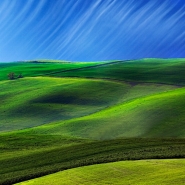 _MG_6352.jpg _MG_6352.jpg