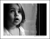 fotoartsdd.jpg fotoartsdd.jpg