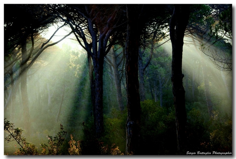 Clicca per l'immagine full size