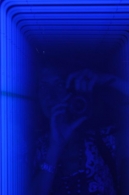 Ridimensiona_diDSC_1219.JPG