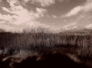 Nome File=142685875_5553007201408433_3598818268539362404_o.jpg
Dimensione File=217KB
Dimensioni=1024x768
Data aggiunta=Feb 06, 2021 142685875_5553007201408433_3598818268539362404_o.jpg
