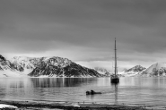 IN_THE_ARTIC_1.jpg