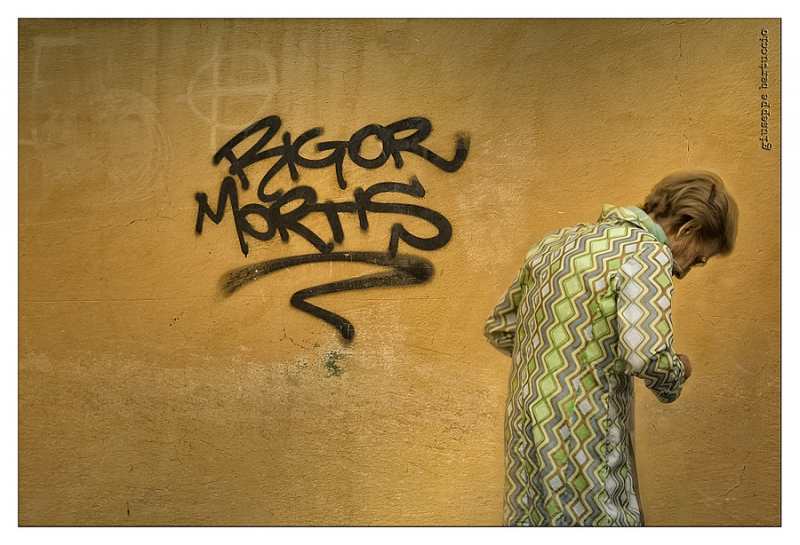 Clicca per l'immagine full size