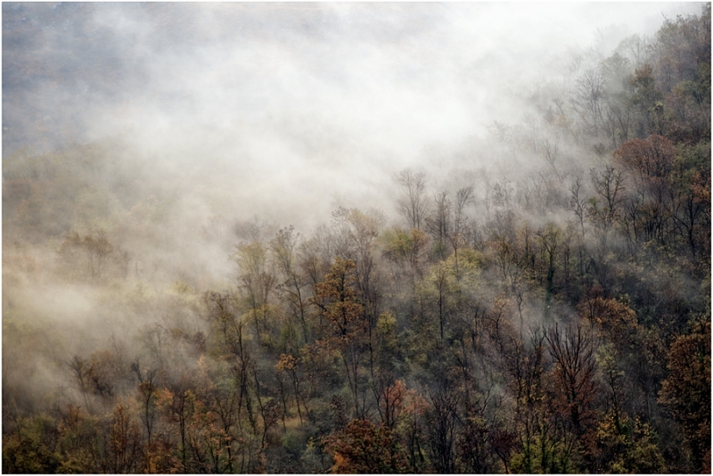 Clicca per l'immagine full size