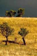 Nome File=I_componenti_della_mia_famiglia.jpg
Dimensione File=65KB
Dimensioni=565x850
Data aggiunta=Ott 23, 2009 I_componenti_della_mia_famiglia.jpg