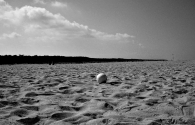 Nome File=wilson.jpg
Dimensione File=256KB
Dimensioni=990x635
Data aggiunta=Nov 24, 2009 wilson.jpg