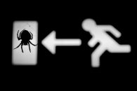 Aracnofobia_1.JPG Aracnofobia_1.JPG
