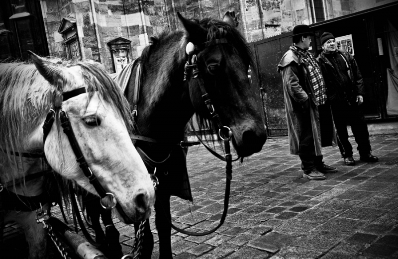 Clicca per l'immagine full size