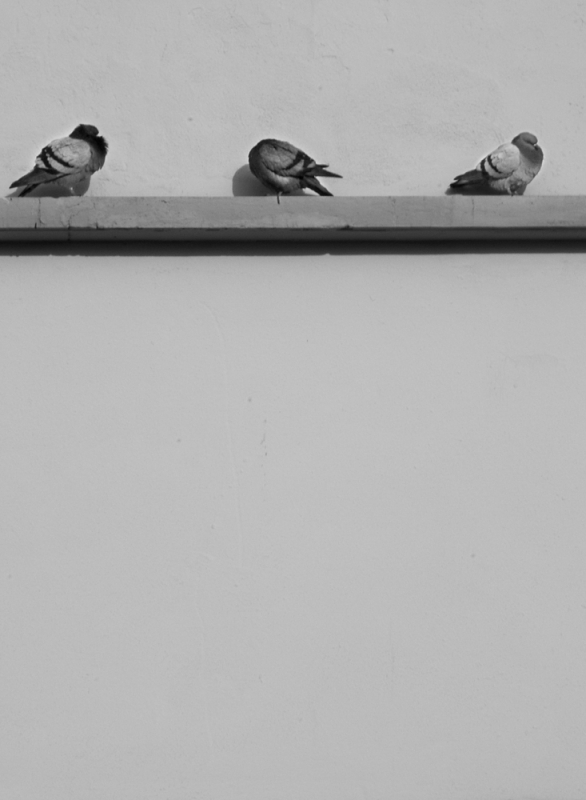 Clicca per l'immagine full size