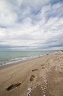 IMG_3480.jpg IMG_3480.jpg