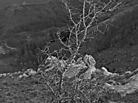 paesaggio_spinoso.jpg paesaggio_spinoso.jpg