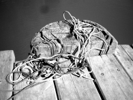 knot.JPG knot.JPG