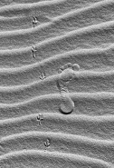 Nome File=©_Saro_Di_Bartolo_2570b_s5a_1024m.jpg
Dimensione File=582KB
Dimensioni=698x1024
Data aggiunta=Ago 19, 2013 ©_Saro_Di_Bartolo_2570b_s5a_1024m.jpg