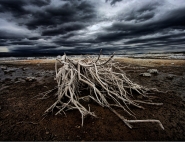 Filename=©_Saro_Di_Bartolo_3993p2_mono_lake__1200m.jpg
Filesize=460KB
Dimensions=1200x924
Date added=Nov 13, 2013 ©_Saro_Di_Bartolo_3993p2_mono_lake__1200m.jpg
