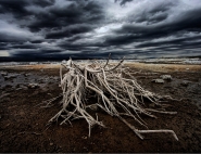 ©_Saro_Di_Bartolo_3993p2_mono_lake__1200m.jpg