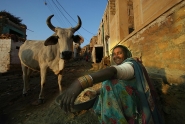 IndiaS-4664x6_1200mm-saro-di-bartolo-rajasthan-india.jpg