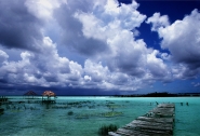 Nome File=bacalar.jpg
Dimensione File=189KB
Dimensioni=1000x683
Data aggiunta=Mar 10, 2010 bacalar.jpg