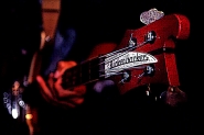 rickenbacker-c900.jpg