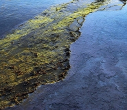 ©_Saro_Di_Bartolo_4745a6_1024m5.jpg ©_Saro_Di_Bartolo_4745a6_1024m5.jpg