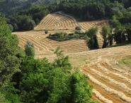 ©_Saro_Di_Bartolo_DSC03608c_1024mm.jpg ©_Saro_Di_Bartolo_DSC03608c_1024mm.jpg