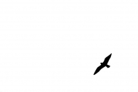 Nome File=presagio_copia.jpg
Dimensione File=30KB
Dimensioni=1000x665
Data aggiunta=Gen 17, 2010 presagio_copia.jpg