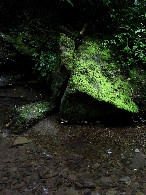 Nome File=magia-del-bosco-online1.gif
Dimensione File=375KB
Dimensioni=625x830
Data aggiunta=Gen 12, 2010 magia-del-bosco-online1.gif