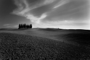 cipressi.jpg cipressi.jpg