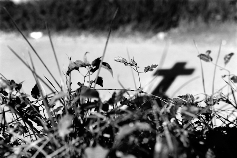 Clicca per l'immagine full size