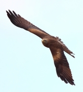 IMG_0997.JPG