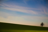 Nome File=green-mm.jpg
Dimensione File=337KB
Dimensioni=1200x800
Data aggiunta=Gen 05, 2015 green-mm.jpg