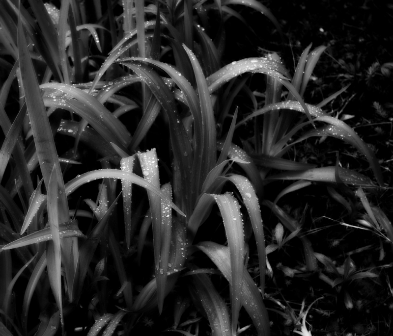 Clicca per l'immagine full size
