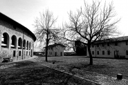 Nome File=390.JPG
Dimensione File=171KB
Dimensioni=800x536
Data aggiunta=Gen 27, 2012 390.JPG
