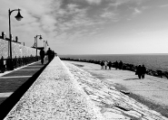 DSC_0236.JPG DSC_0236.JPG