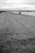 DSC_0731.JPG