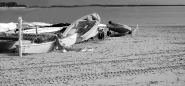 Nome File=lettura.jpg
Dimensione File=217KB
Dimensioni=800x374
Data aggiunta=Set 24, 2012 lettura.jpg