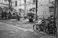 Lucca-2.jpg