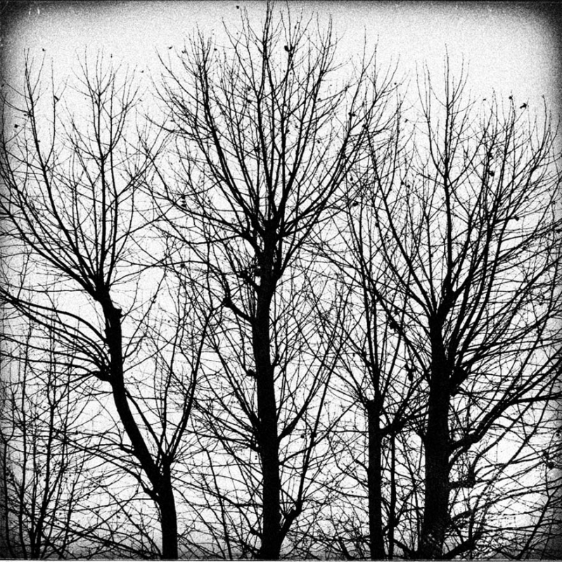 Clicca per l'immagine full size