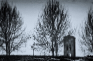 alberi_e_campanile_mura_LU_cyanotype_MM_c.jpg alberi_e_campanile_mura_LU_cyanotype_MM_c.jpg