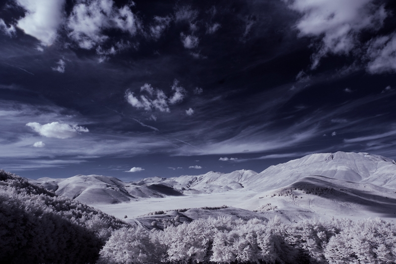 Clicca per l'immagine full size