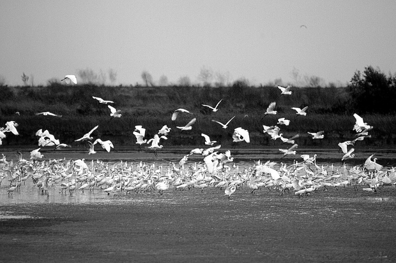 Clicca per l'immagine full size
