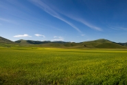 FM2769.jpg