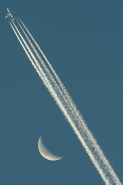 MM1102.jpg